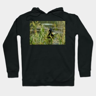 BlackBird Hoodie